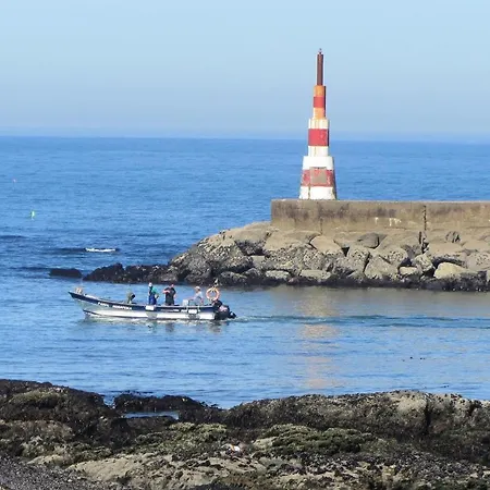 Dom wakacyjny Casa Do Remo Da Aguda Arcozelo (Porto)