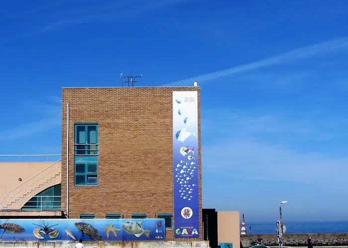 펜션 Casa Do Remo Da Aguda