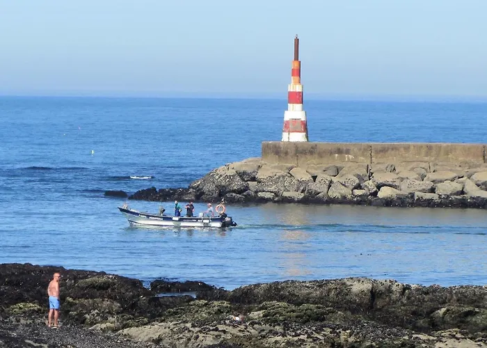 펜션 Casa Do Remo Da Aguda Arcozelo (Porto)