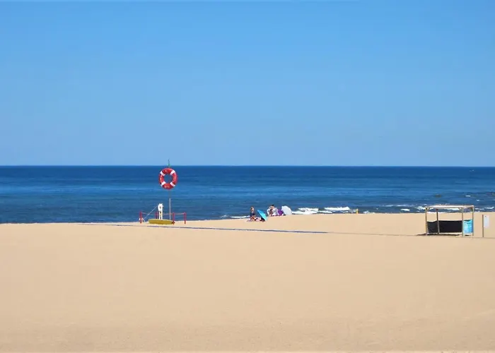 펜션 Casa Do Remo Da Aguda Arcozelo (Porto)